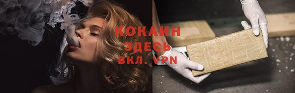 шишки Беломорск