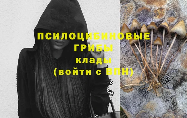 амфетамин Богородицк