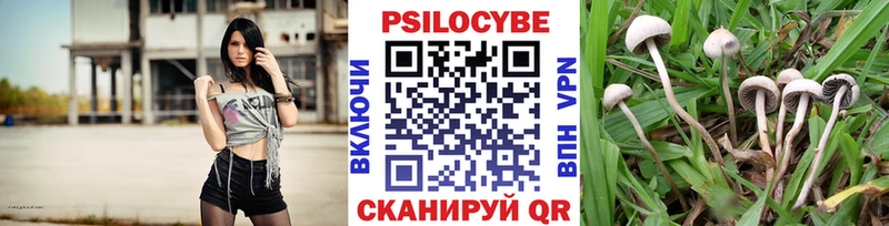 omg зеркало  Комсомольск  Галлюциногенные грибы прущие грибы 